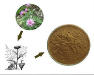 100% Rhaponticum Carthamoides (Willd) Maral Root Extract Powder 10:1  鹿根提取物