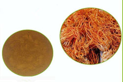 100% Fermented Cordyceps Sinensis Herbal Extract Powder (Polysaccharide≥50%) 100g 虫草菌丝提取物