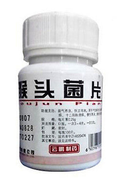 Hou Tou Jun Pian (Hericium Erinaceus Tablets)( Lion's Mane mushroom Tablets) (100 tablets) 猴头菌片 YunPeng