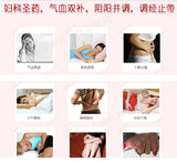 Wu Ji Bai Feng Wan (36g) Regulates Menstruation Dysmenorrhea 乌鸡白凤丸 TongRenTang